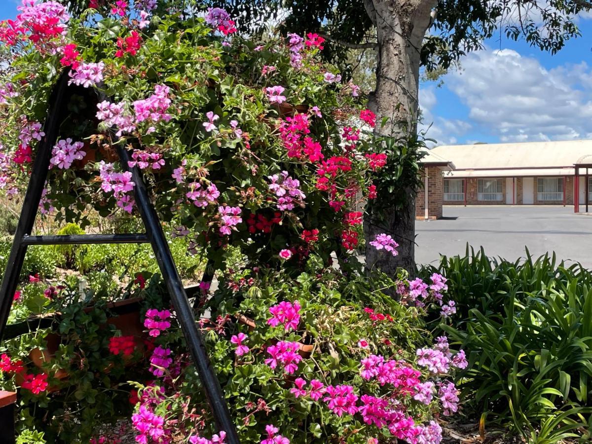 Crows Nest Motel Exterior foto